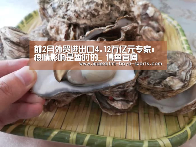 前2月外贸进出口4.12万亿元专家:疫情影响是暂时的_ 博鱼官网(图2) 博鱼体育