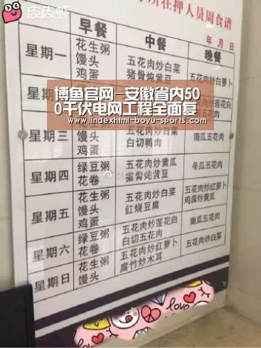 博鱼官网-安徽省内500千伏电网工程全面复工(图2) boyu tiyu