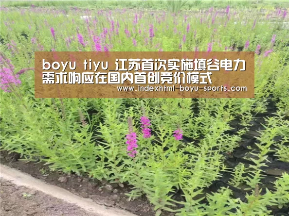 boyu tiyu_江苏首次实施填谷电力需求响应在国内首创竞价模式(图2) 博鱼官网