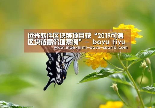 远光软件区块链项目获“2019可信区块链高价值案例”- boyu tiyu(图1) 博鱼官网