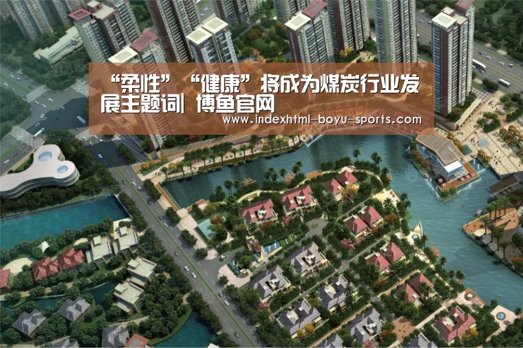 “柔性”“健康”将成为煤炭行业发展主题词| 博鱼官网(图1) boyu tiyu