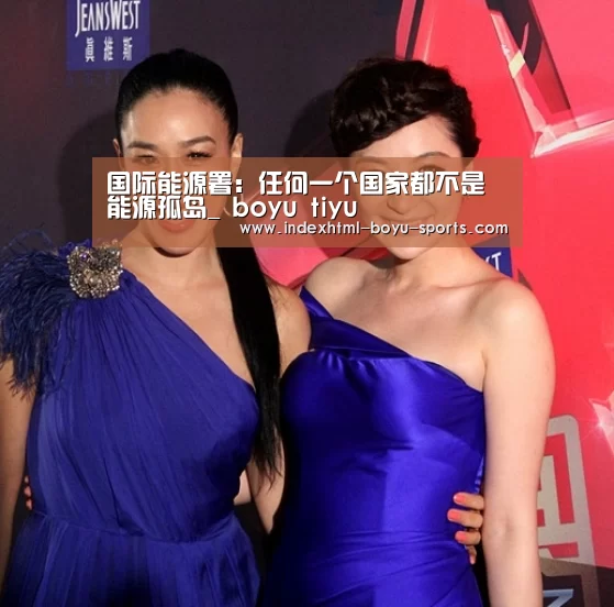 国际能源署:任何一个国家都不是能源孤岛_ boyu tiyu(图2) boyu tiyu