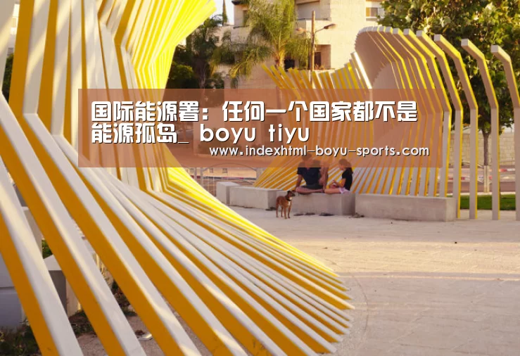 国际能源署:任何一个国家都不是能源孤岛_ boyu tiyu(图1) 博鱼体育