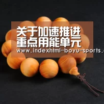 
关于加速推进重点用能单元综合能源革新（2019年—2021年）的实施意见| 博