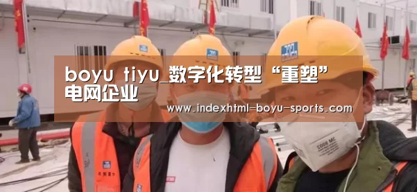  boyu tiyu_数字化转型“重塑”电网企业