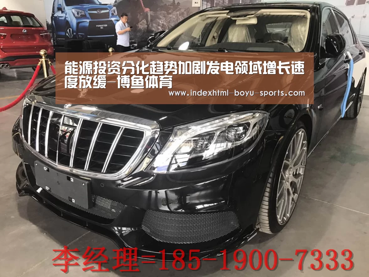 能源投资分化趋势加剧发电领域增长速度放缓-博鱼体育